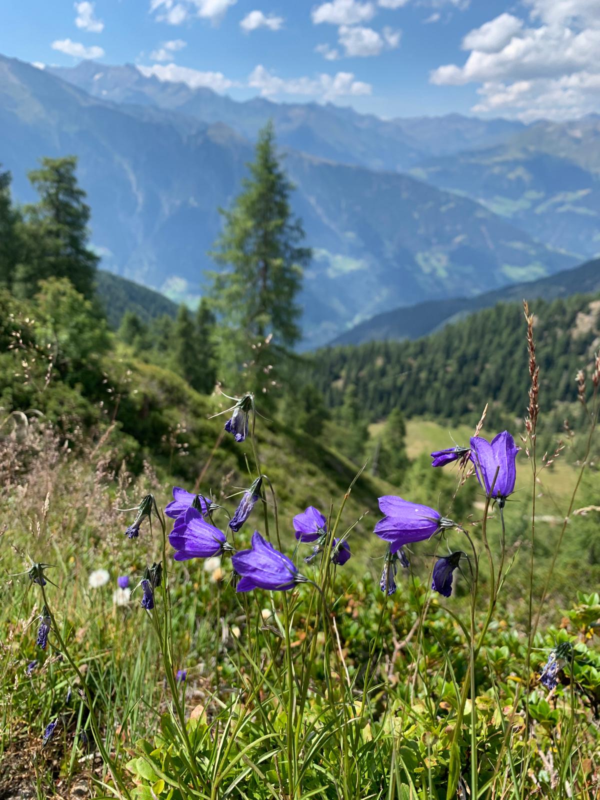Naturlandschaft Chiemgau