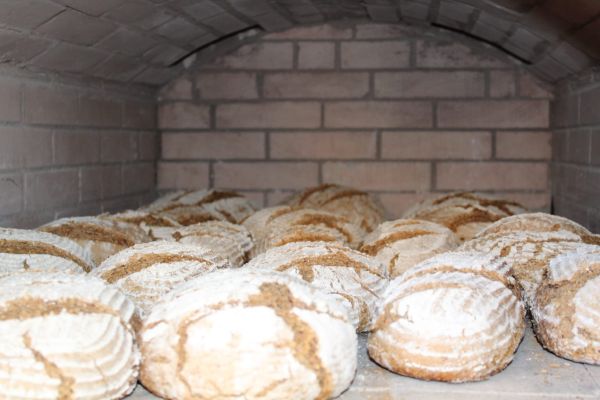 Brotbackkurs – Teig kneten und Brote formen
