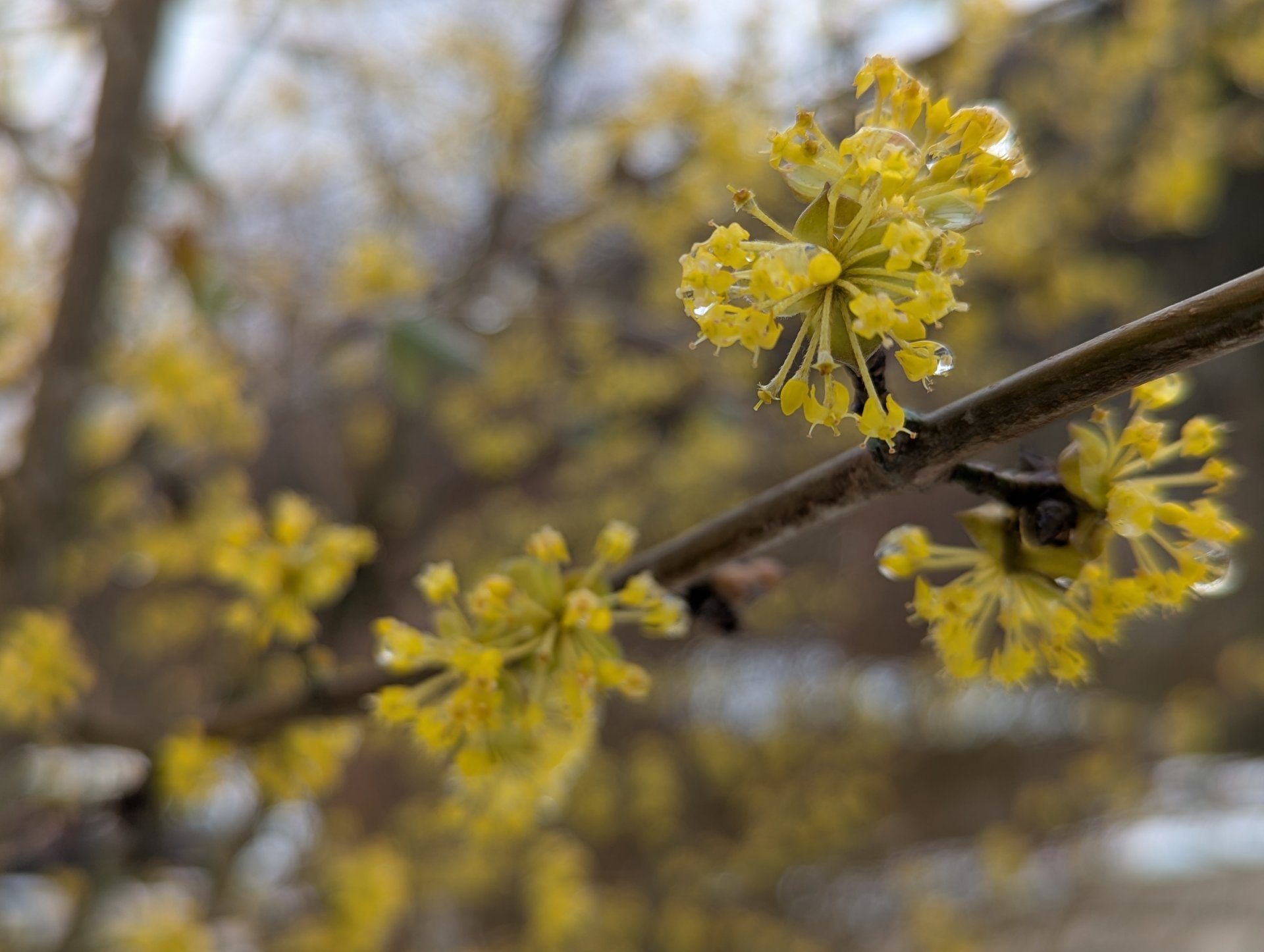 Kind mit frisch gepflückten Äpfeln – Freude an der Natur